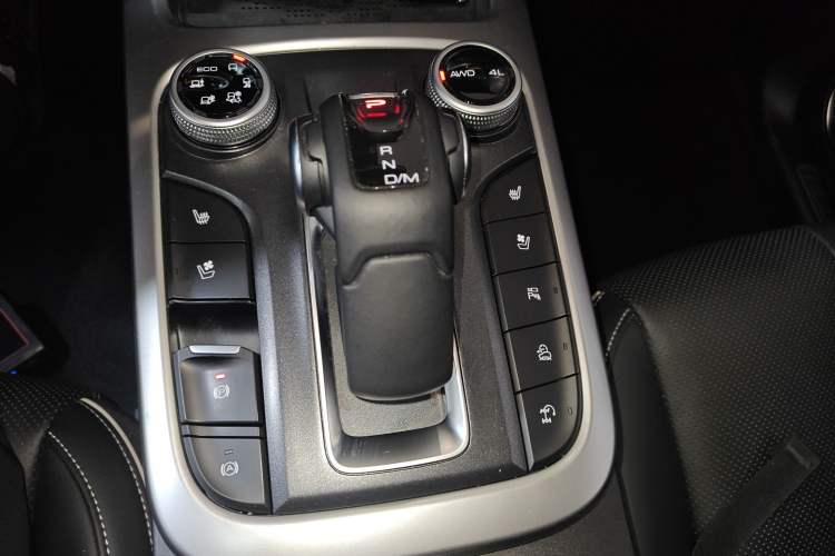 Used Tank 300 2024 2.0T Crosser
