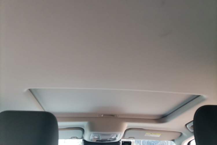 Used Tank 300 2021 Off-Road Edition 2.0T Conqueror Headliner