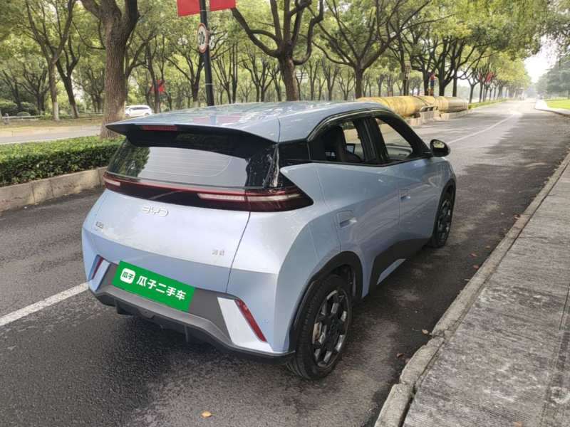 Used BYD Seagull 2024 Honor Edition 305km Freedom Version — 6