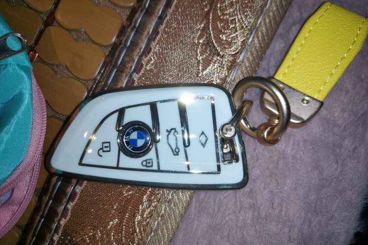 Used BMW 3 Series 2020 320Li M Sport Package