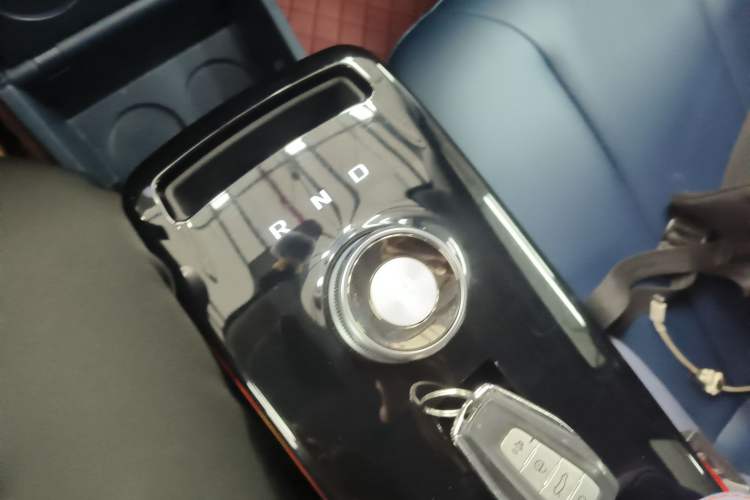 Used Geometry E Firefly 2022 401 km Linglong Tiger 4 Seats