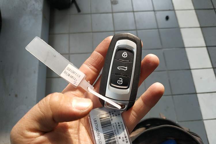 Used Geely Galaxy Panda 2025 210 km – Yuanqi Bear