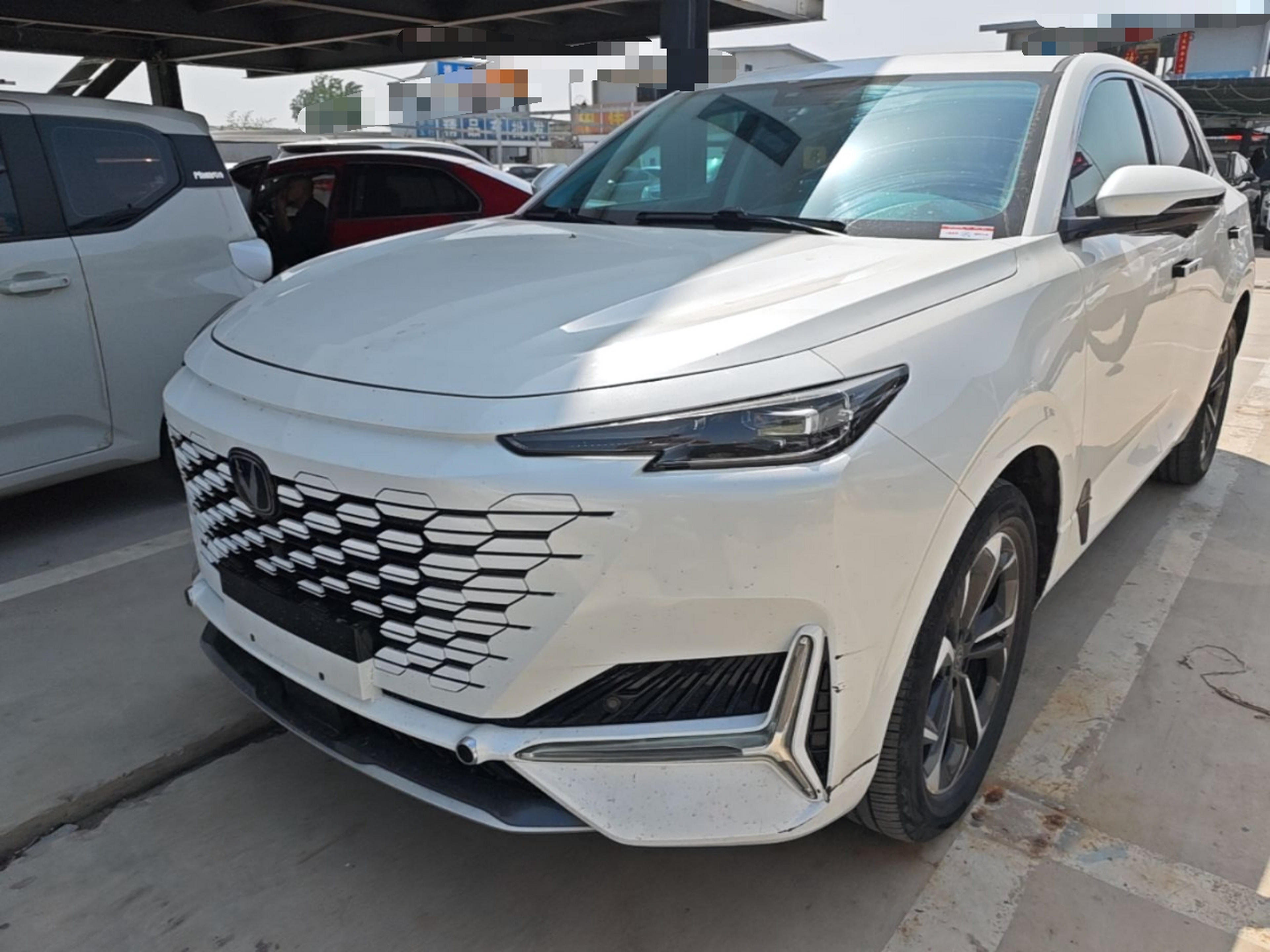 Parte inferior delantera