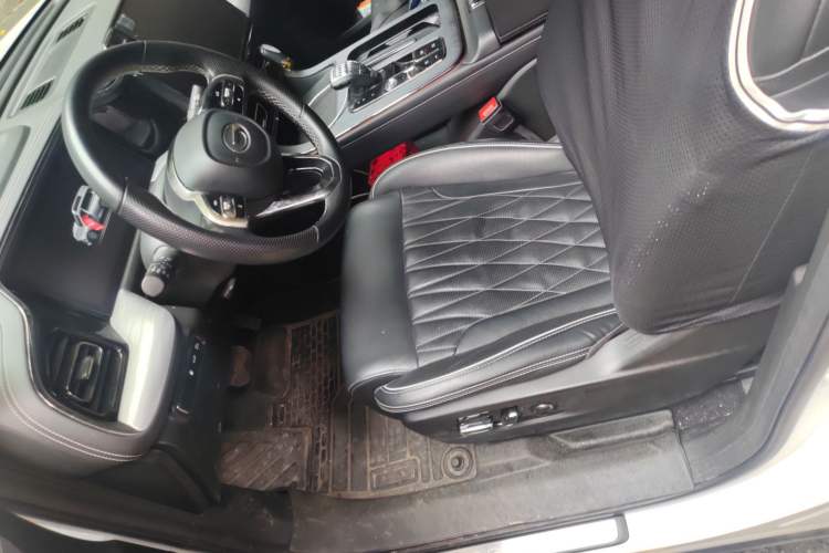 Used GAC Trumpchi GS8 2022 Dual-Engine Series 2.0TM Two-Wheel Drive Prestige Edition (7 Seats) Left Front Seat