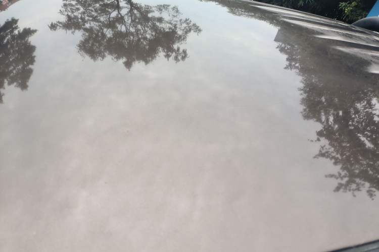 Used Great Wall Poer 2019 2.0T Commercial Version Manual Diesel 4x4 Elite Long-Box GW4D20M