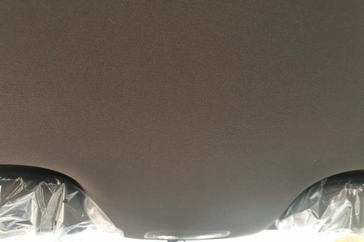 Used BYD Dolphin 2025 420km Free Edition Headliner