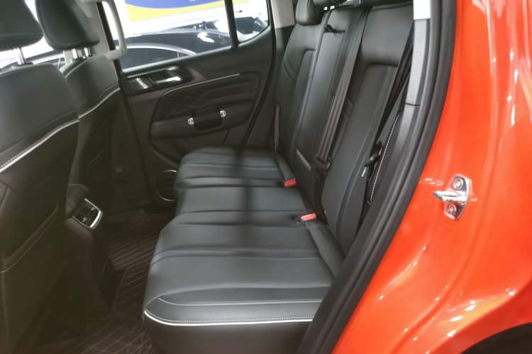 Used Tank 300 2021 City Edition 2.0T—Truly Stylish Left Rear Seat