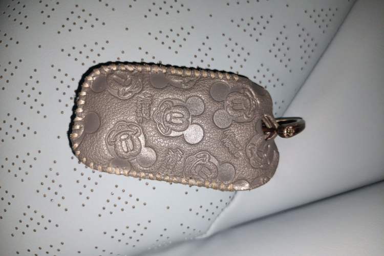 Used Chery Little Ant 2022 Sweet Pink Edition Low-Sugar Version 30kW 301km Range