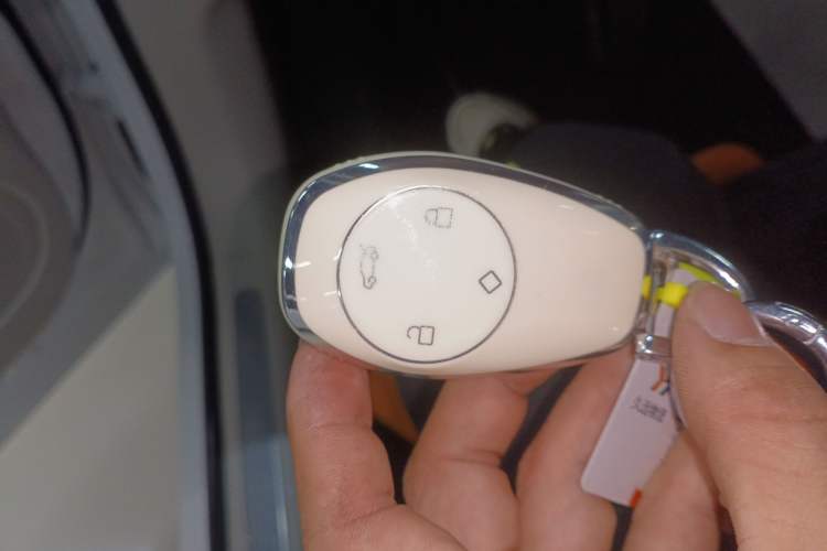 Used Leapmotor C11 2021 Revised Version Luxury Edition