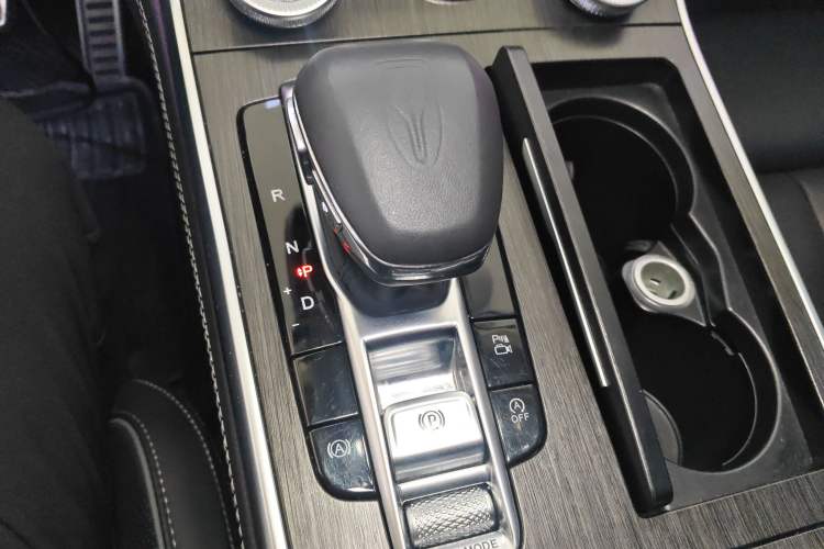 Used Hongqi H9 2023 2.0T Smart Connect Flagship Edition
