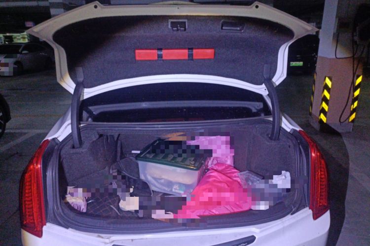 Used Cadillac ATS-L 2016 28T Fashion Edition Trunk