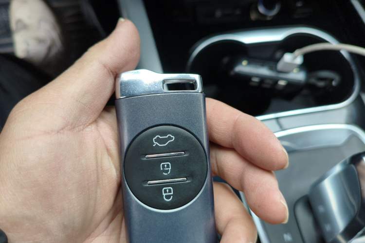 Used EXEED Lingyun 2019 1.6T Two-Wheel-Drive Platinum Edition Interior 1