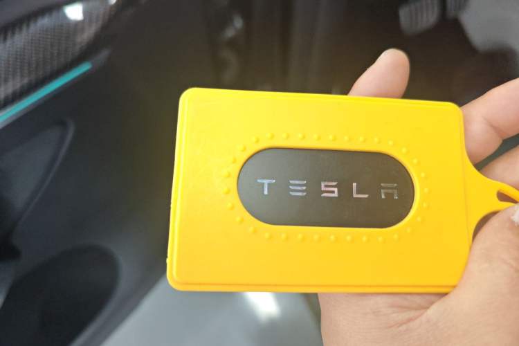 Used Tesla Model Y 2022 Performance High-Performance All-Wheel-Drive Version Interior 1