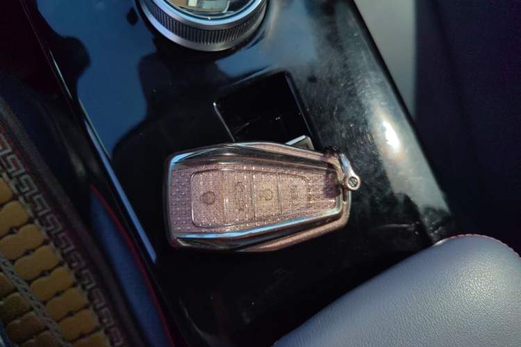 Used Geometry E Firefly 2023 401KM Linglong Tiger 5-Seater
