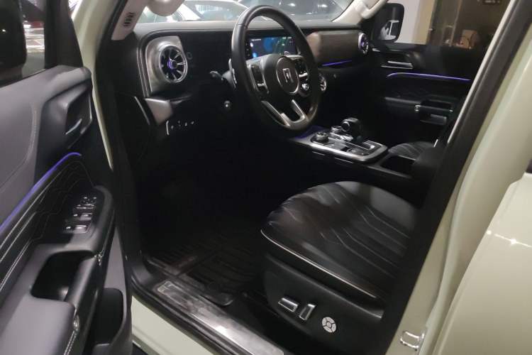 Used Tank 300 2021 City Edition 2.0T My Vision Model
