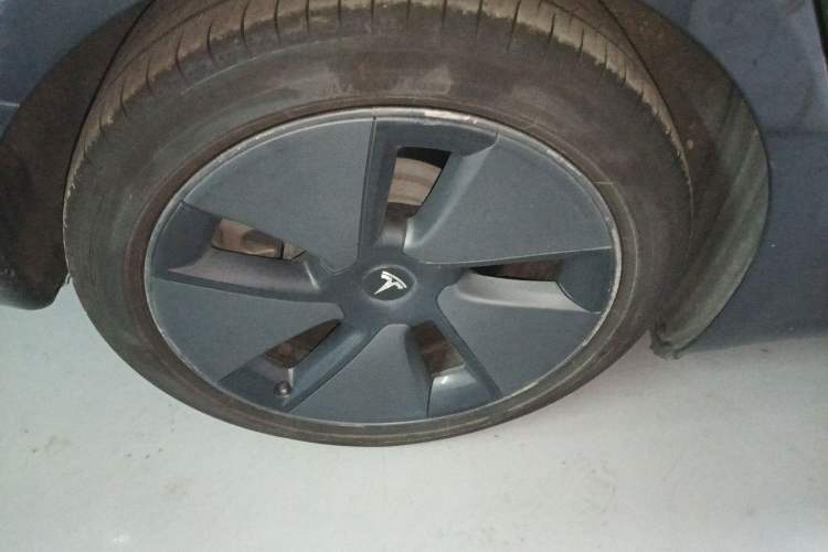 Used Tesla Model 3 2021 Standard Range Rear-Drive Upgraded Version Exterior 5