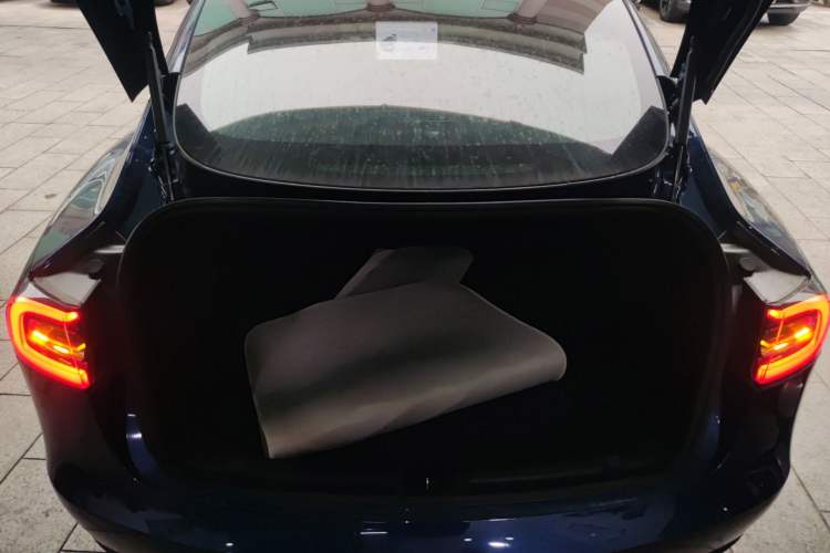 Used Tesla Model 3 2020 Standard Range Rear-Wheel Drive Upgraded Version Trunk