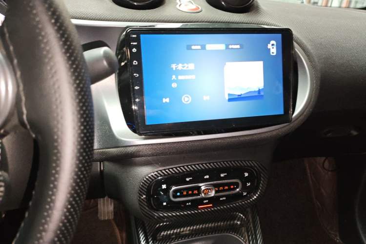 Used smart fortwo 2016 1.0L 52 kW Convertible Passion Edition
