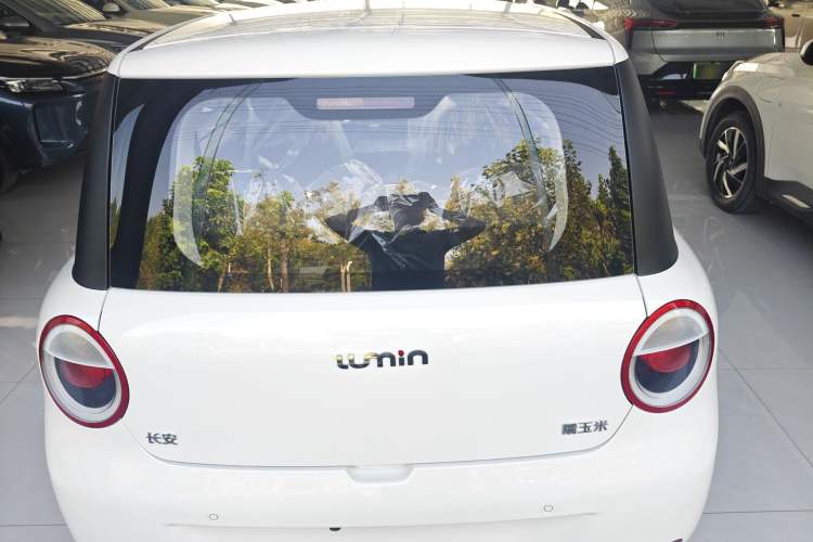 Used Qiyuan Lumin 2025 205 km Xiangqin Version