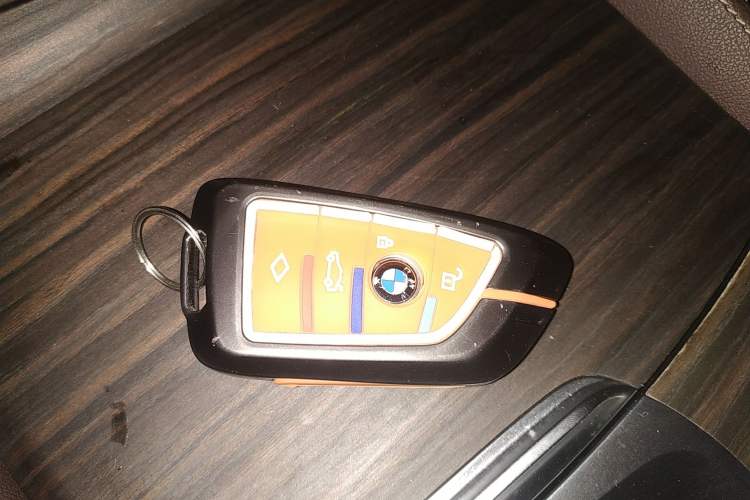 Used BMW 5 Series New Energy 2020 530Le Luxury Package
