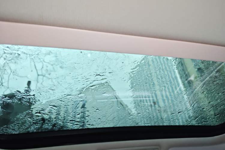 Used Volkswagen Magotan 2020 330TSI DSG Luxury Edition Headliner