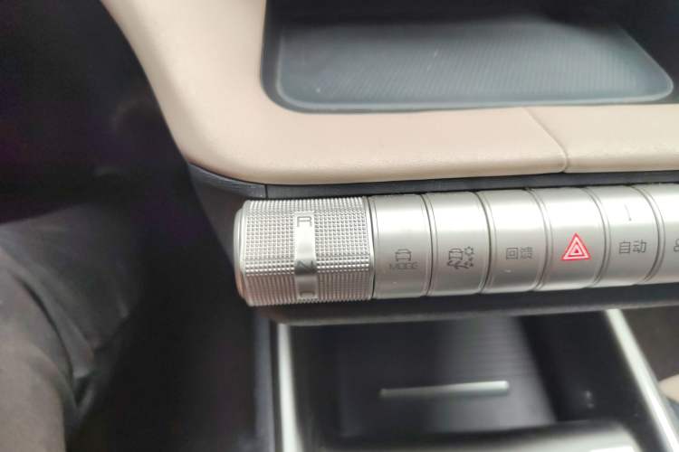 Used BYD Dolphin 2023 420 km Fashion Edition Gear Lever