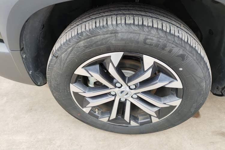 Used Haval DARGO 2022 1.5T DCT Two-Wheel Drive Border Collie Edition