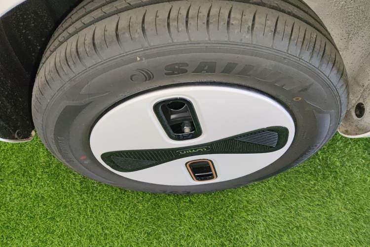 Used Qiyuan Lumin 2026 Model Treasure Edition 205km Passionate Beige Ningde