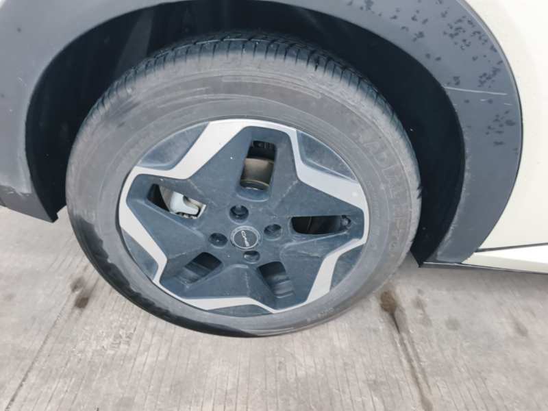 Used BYD Dolphin 2021 405 km Fashion Edition — 25
