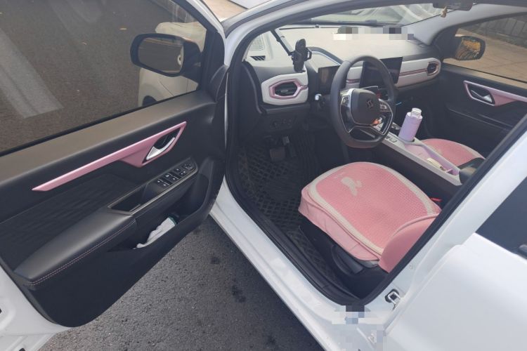 Used SOL E10X 2022 Flower Fairy Design Four-Leaf Clover