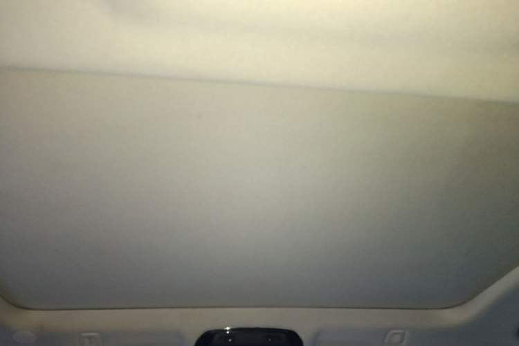 Used BMW 5 Series 2018 525Li Luxury Package Headliner