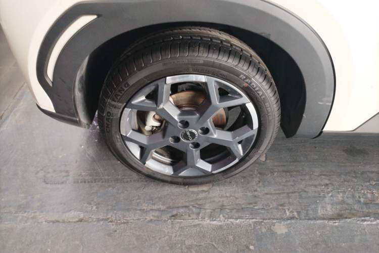 Used BYD Seagull 2025 405 km Flying Edition