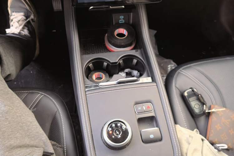 Used Ford Mustang Mach-E 2021 AION Y Plus Rear-Drive Luxury Edition (Long Range)
