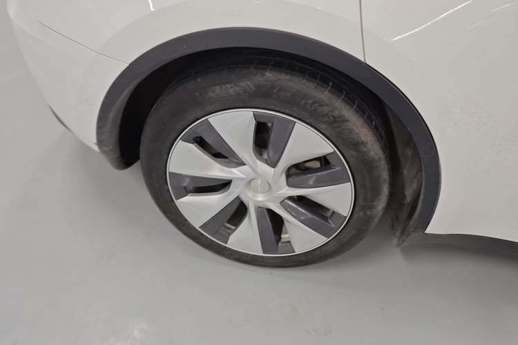 Used Tesla Model Y 2022 Rear-Wheel-Drive Version