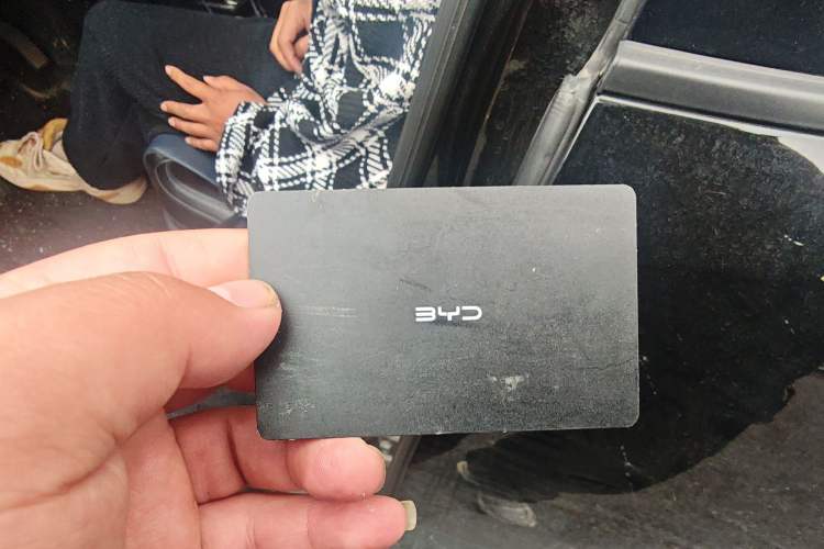 Used BYD Seagull 2024 Honor Edition 305km Dynamic Version
