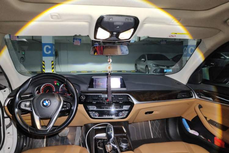 Used BMW 5 Series 2018 528Li Launch Special Edition Headliner