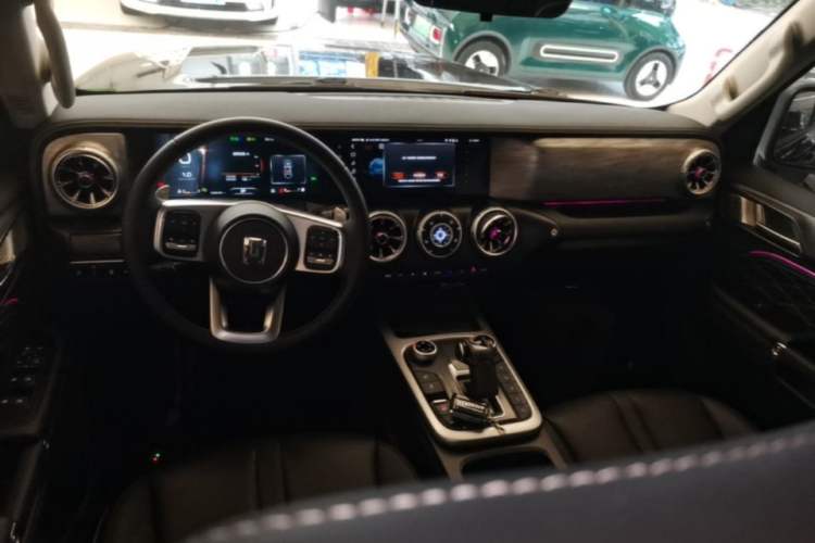 Used Tank 300 2024 2.0T Conqueror