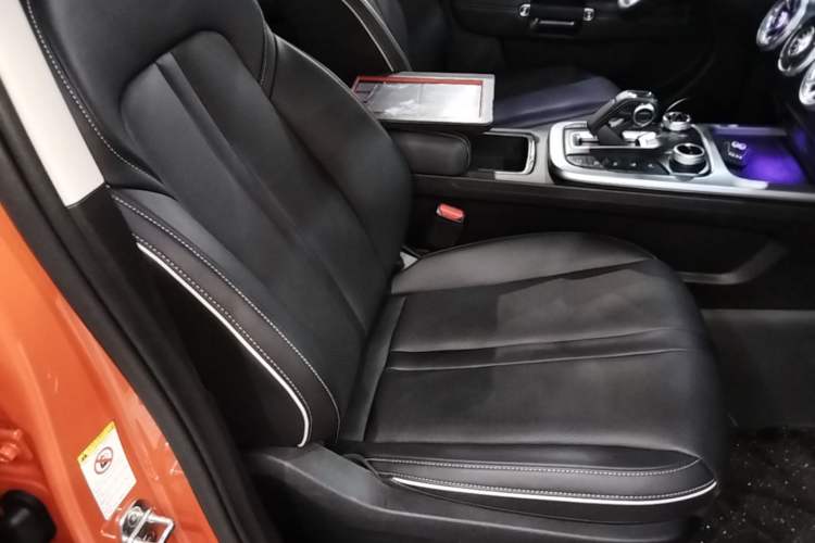 Used Tank 300 2021 City Edition 2.0T—Truly Stylish