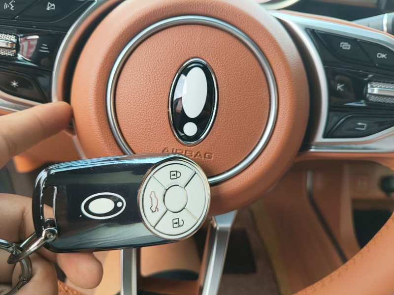 Used ORA Lightning Cat 2022 555 km Luxury Edition – Premium — 8