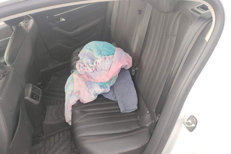 Used Peugeot 508 2019 508L 360THP PureTech Driving Fun Edition China VI Standard
