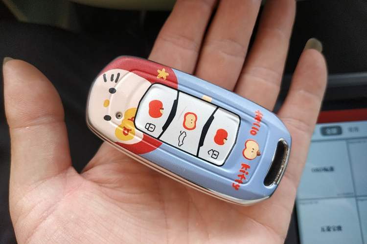 Used Geely Galaxy Panda 2025 210km Panda Rider
