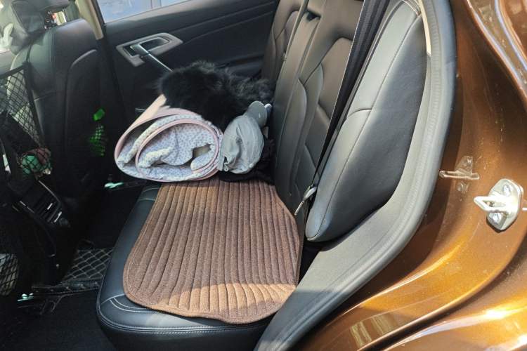 Used Geely Auto Emgrand X7 Sport 2016 1.8TD Automatic Smart Connectivity Version Left Rear Seat