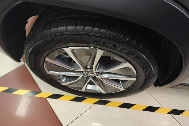 Used Lexus UX New Energy 2020 300e Pure·Joy Edition Exterior 5