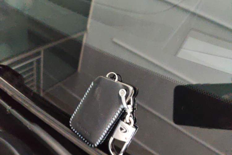 Used Lexus RX 2020 Revised Version 300 Two-Wheel Drive Elite Edition
