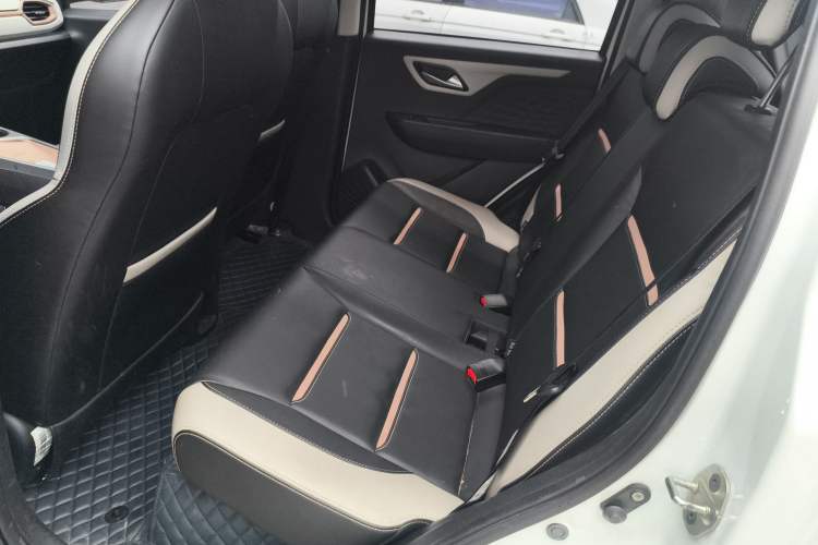 Used SOL E10X 2022 Flower Fairy Style Baby's Breath