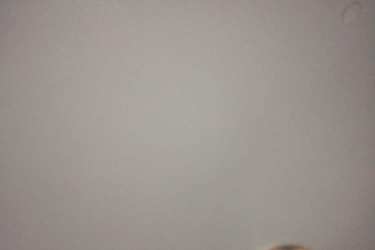 Used Dongfeng Yufeng 2018 2.3TA100 Standard Edition Logistics Vehicle Short Wheelbase Mid-Roof Design 5-9 Seater Powered by WP2.3 Headliner