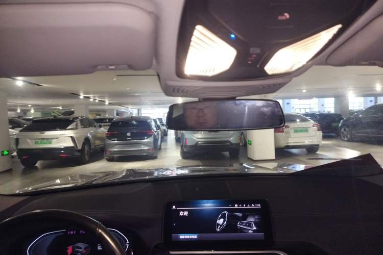 Used BMW iX3 2021 Leading Model Headliner