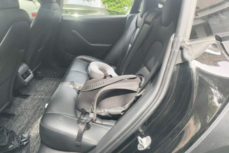 Used Tesla Model 3 2022 Rear-Wheel-Drive Version
