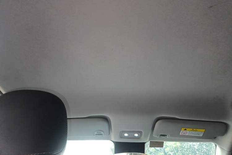 Used NETA V 2021 Long-Range Entertainment Edition Upgrade Model