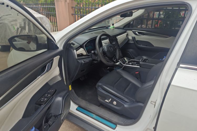 Used WM Motor EX5 2019 EX5 Entry Edition 300 Driver Seat